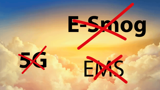 Transformation & Eliminierung von Strahlung